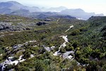 Kapstadt: Wanderung auf dem Tafelberg